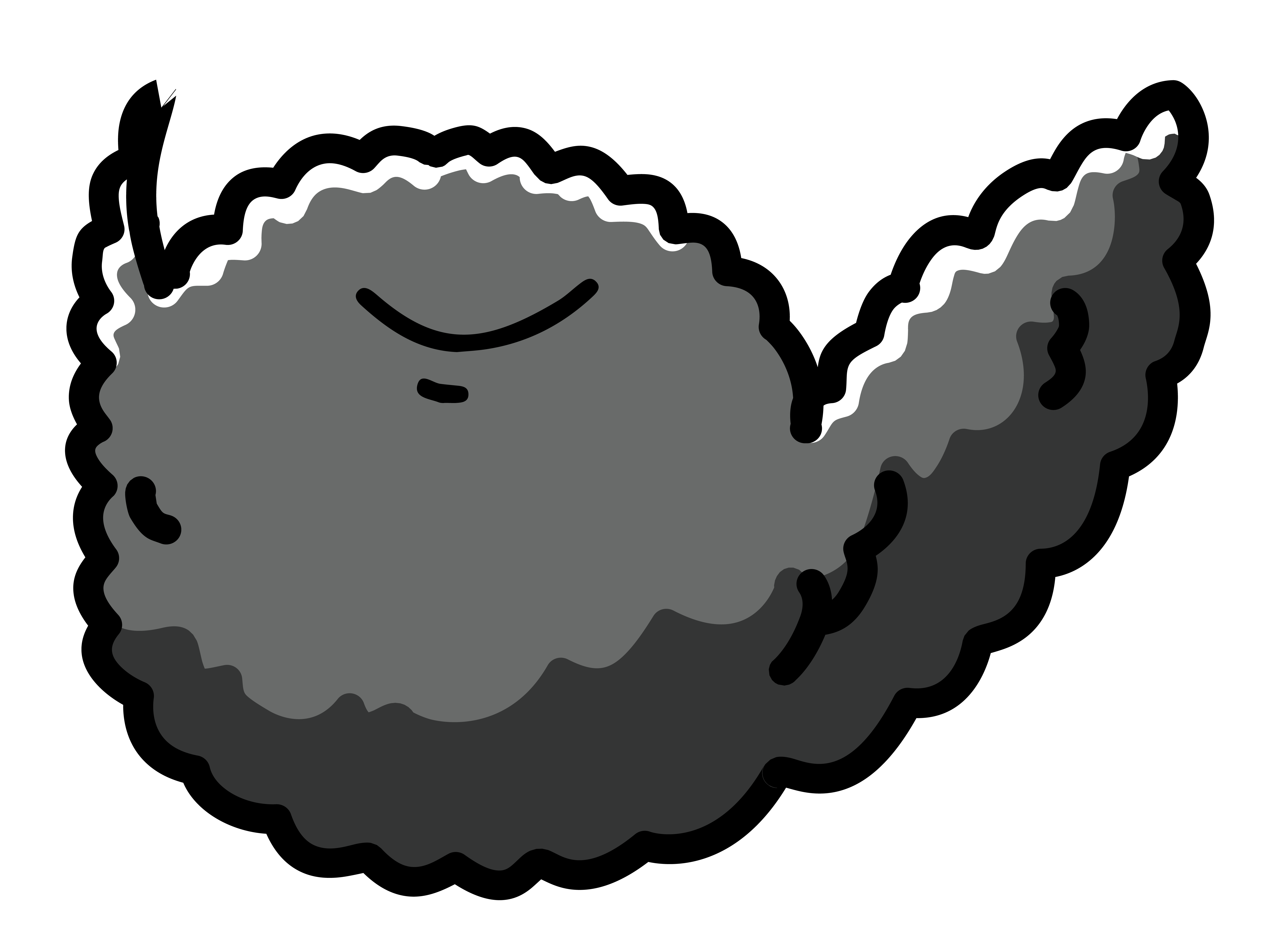 Beard 3