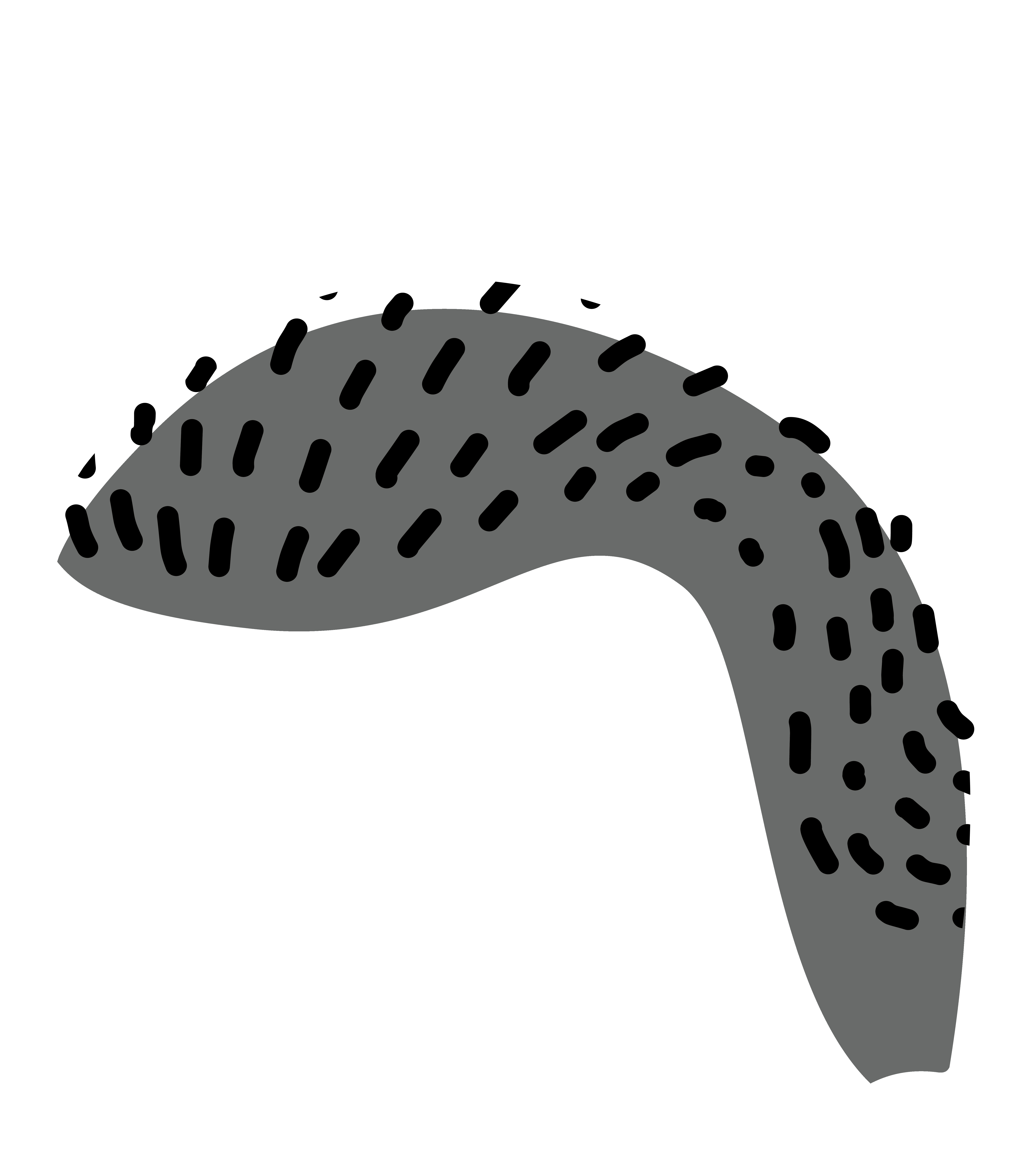 Hair 4